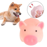 Pet Product Rubber Dog Toy with Thorn Bone Rubber Molar Teeth Pet Toy Dog Bite Resistant Molar Training Drop Ship